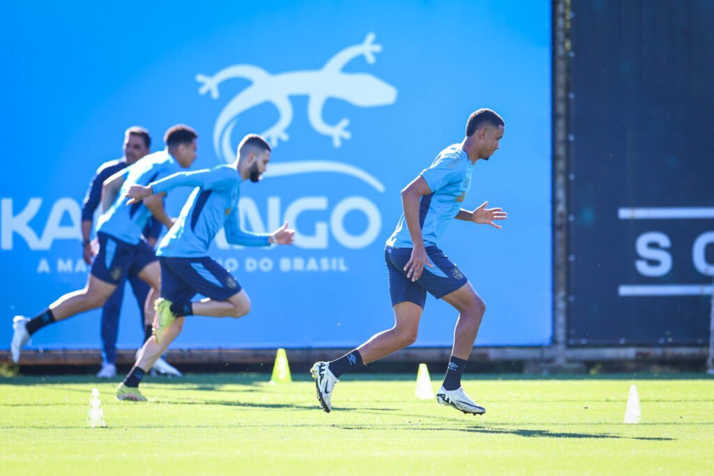 Onde assistir Grêmio x Botafogo ao vivo, horário e possível escalação