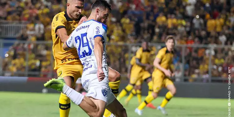 Papão e Onça Pintada (Jorge Luís Totti/Paysandu)