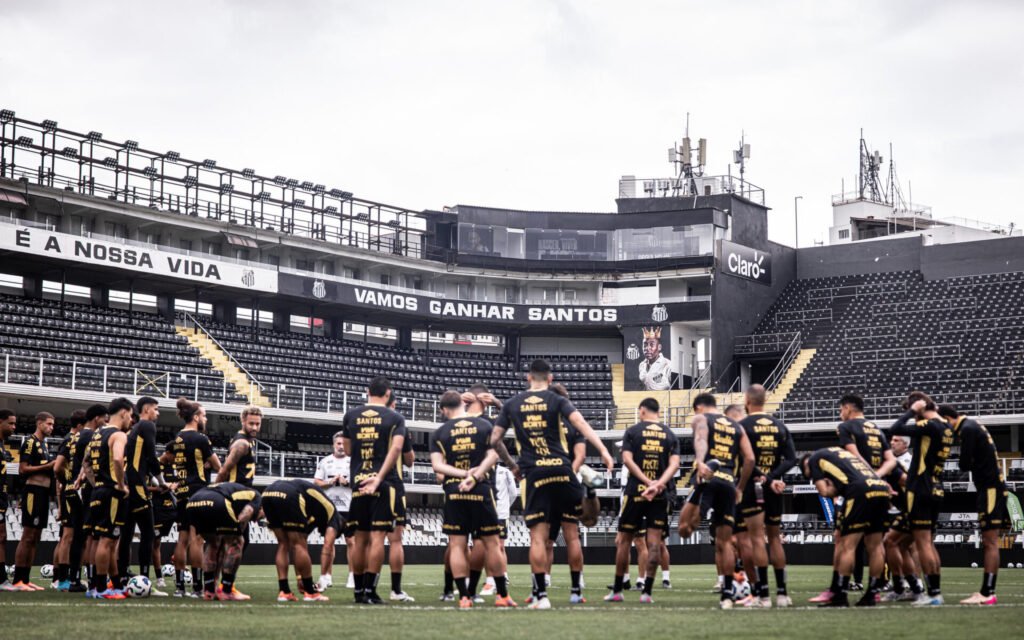 Foto: Raul Baretta / Santos FC