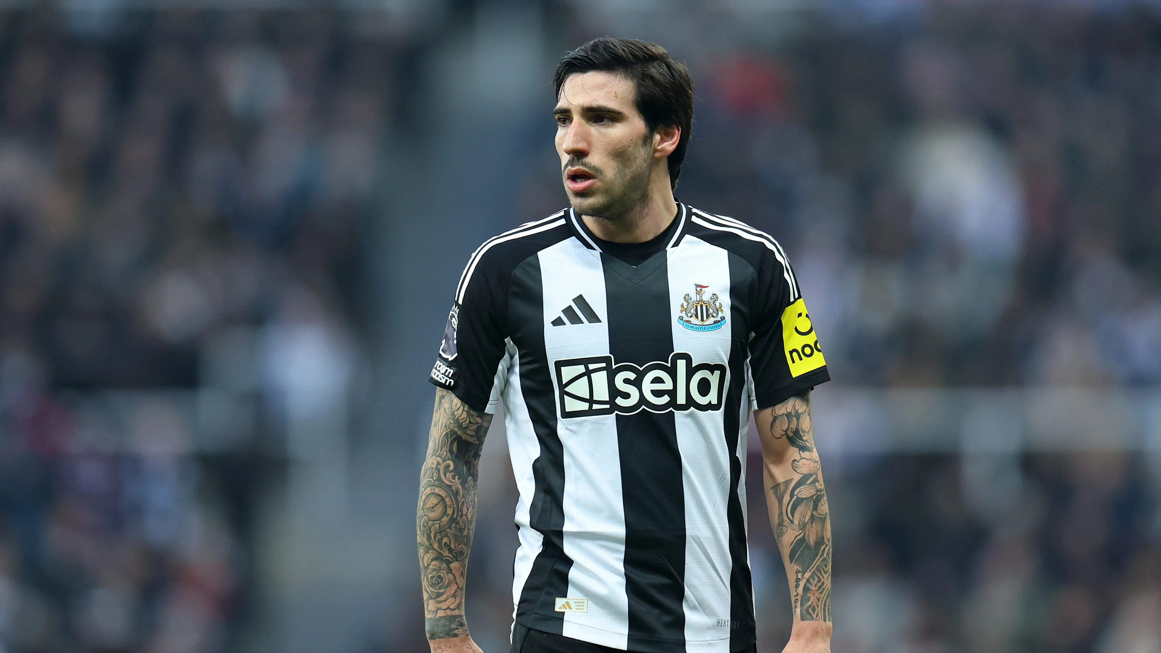 Sandro Tonali é prioridade para o Arsenal. Foto: Molly Darlington/Getty Images