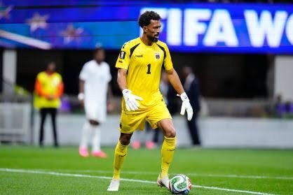 Vozinha em ação durante a Copa do Mundo