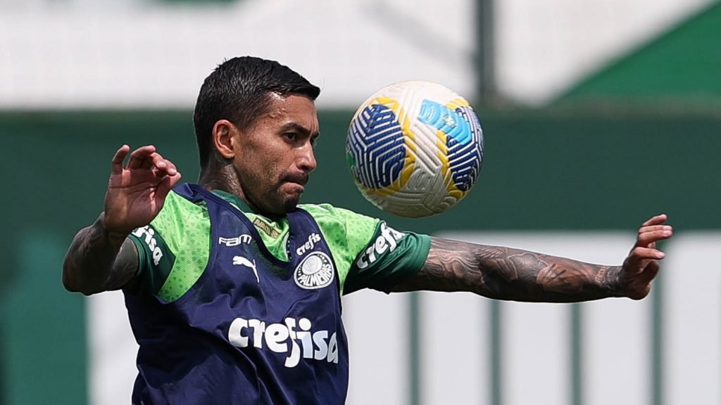 Dudu em campo. Foto: Cesar Greco/Palmeiras.