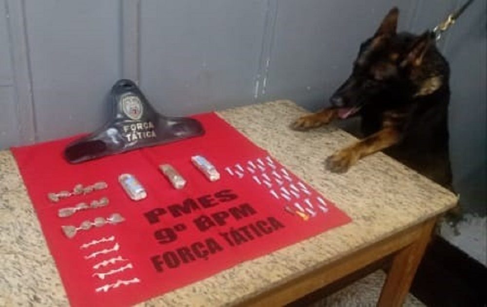 Mais uma vez cão Messi ajuda PM a encontrar drogas em Cachoeiro