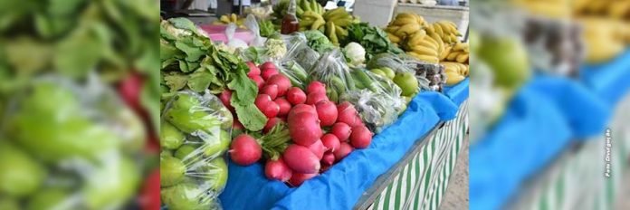 Marataízes: Secretaria Municipal de Agricultura abre período de cadastramento para participar da Feira da Agricultura Familiar