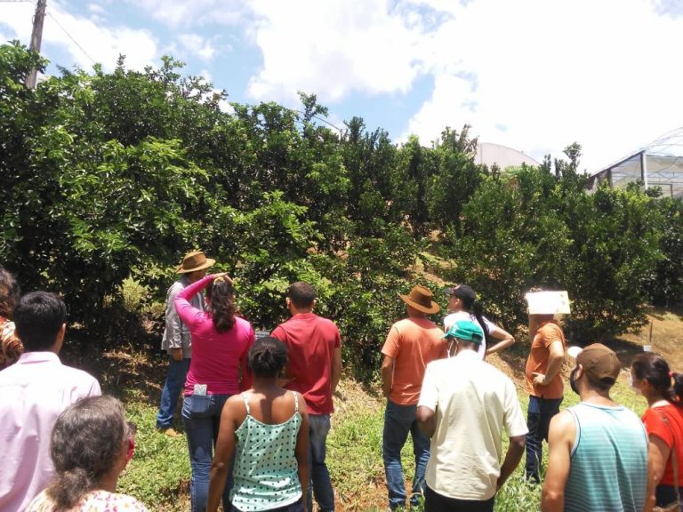 Produtores de Guaçuí visitam campo de fruticultura no campus da Ufes em Alegre