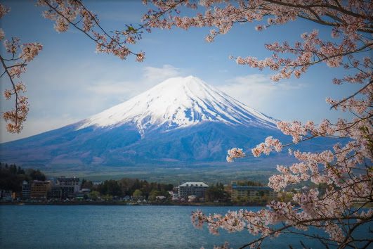 Sobre homens e montanhas: O Monte Fuji e a Floresta dos Suicidas
