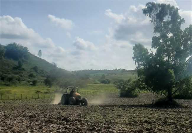 Programas beneficiam pequenos produtores na agricultura e pecuária em Itapemirim