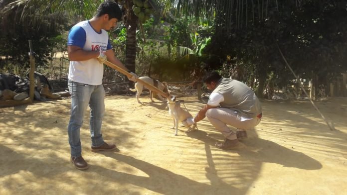 Prefeitura de Presidente Kennedy inicia campanha de vacinação antirrábica para cães e gatos – Notícias Prefeitura de Kennedy