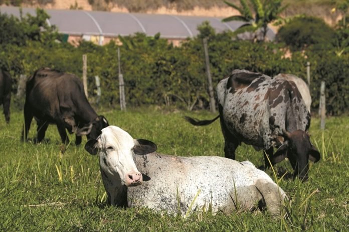 ITR 2022: prazo para declarar o Imposto Territorial Rural já começou – Notícias Prefeitura de Kennedy