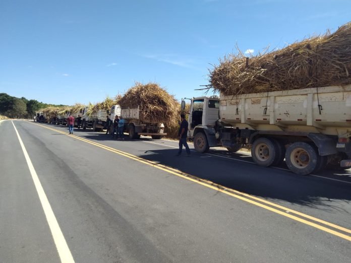 Incentivos aos produtores rurais minimizam impactos causados pela estiagem em Presidente Kennedy – Notícias Prefeitura de Kennedy
