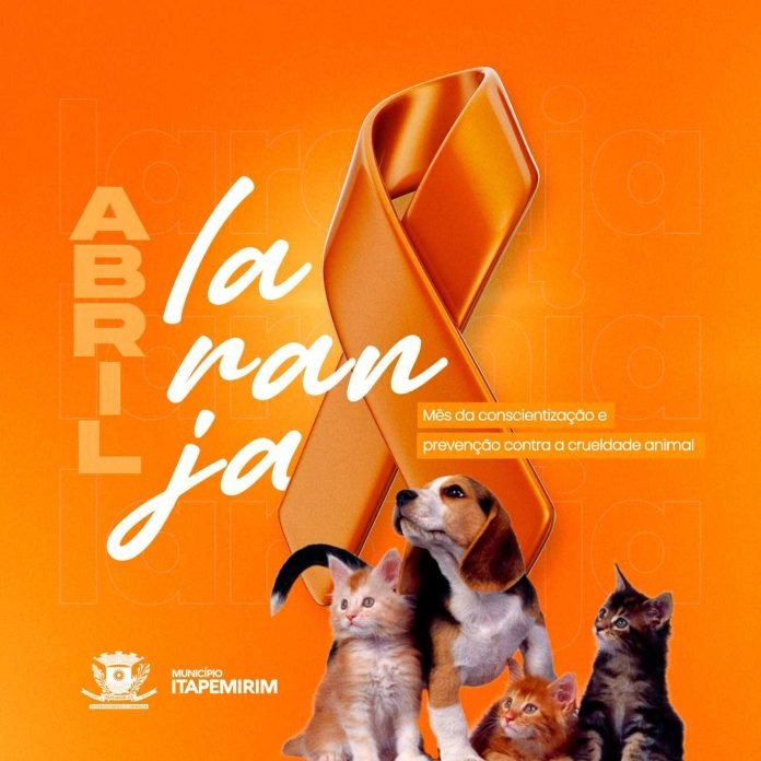DIA MUNDIAL DOS ANIMAIS DE RUA