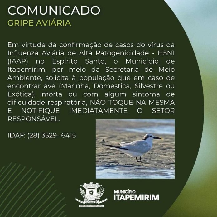 GRIPE AVIÁRIA