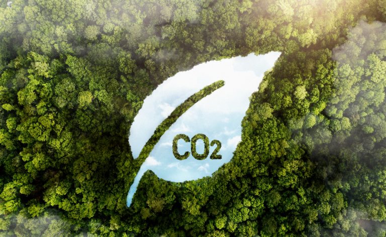 Fórum Capixaba de Mudanças Climáticas aprova Plano de Descarbonização