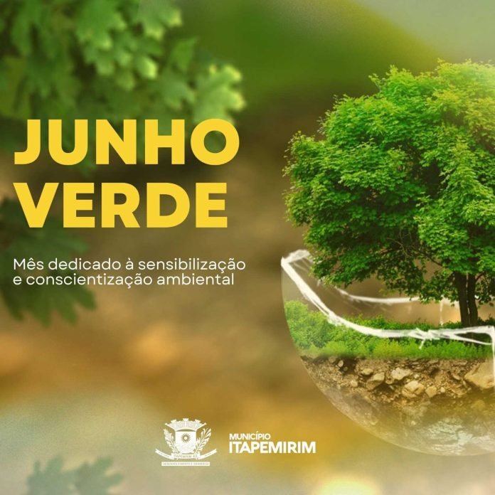 JUNHO VERDE