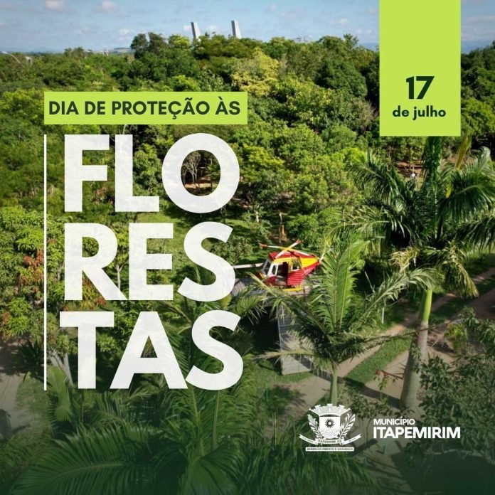 17 DE JUNHO - DIA DE PROTEÇÃO ÀS FLORESTAS