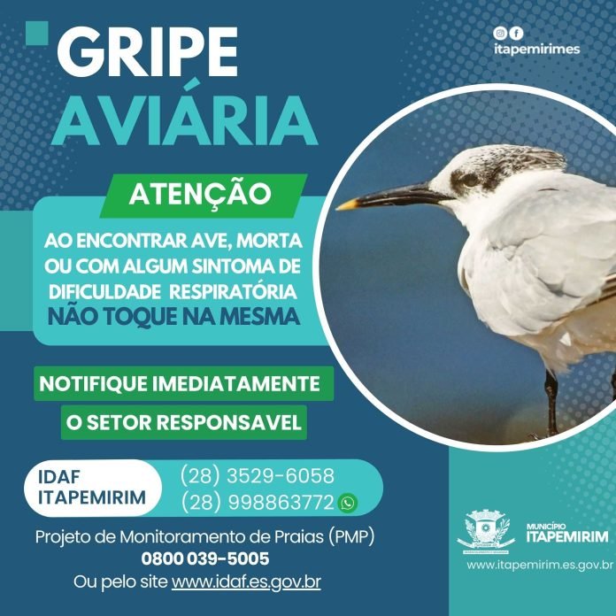 ATENÇÃO: GRIPE AVIÁRIA