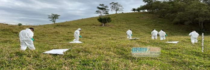 Vigilância Ambiental realiza trabalho de prevenção da febre maculosa em Presidente Kennedy/ES