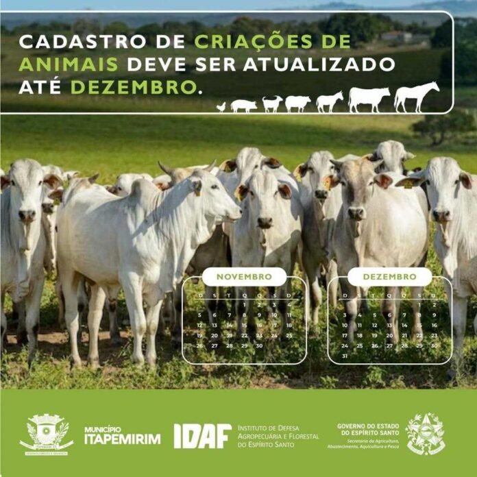 COMUNICADO IDAF