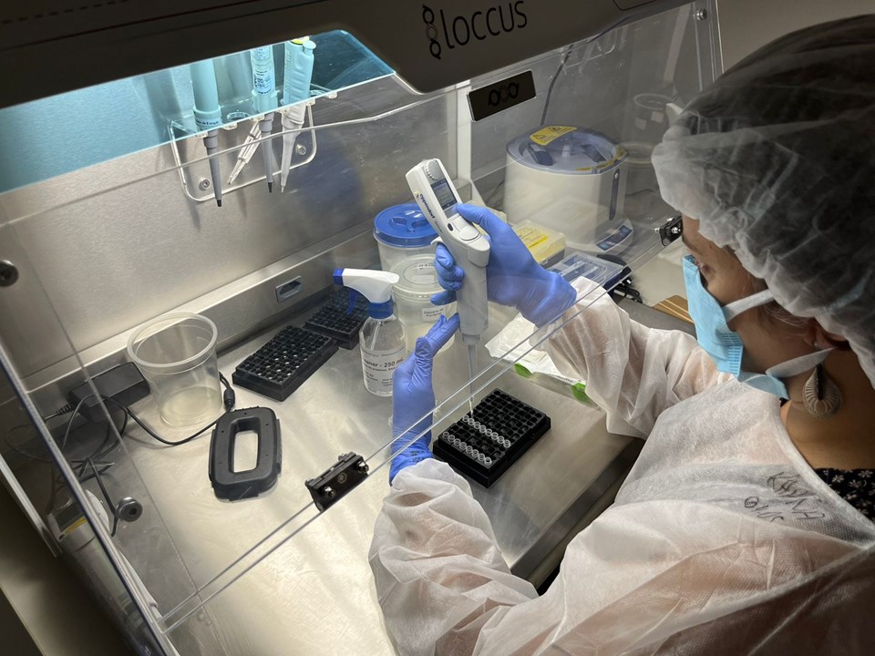 Laboratórios do Idaf recebem acreditação do Inmetro para diagnóstico em suínos