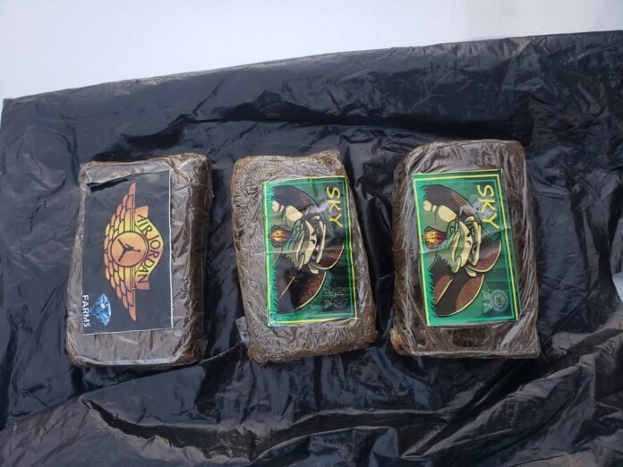 Polícia Civil prende dois investigados por envolvimento com tráfico de drogas em Vila Velha