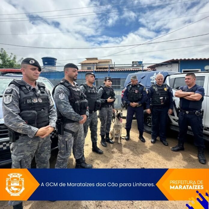 A GCM de Marataízes doa Cão para Linhares.