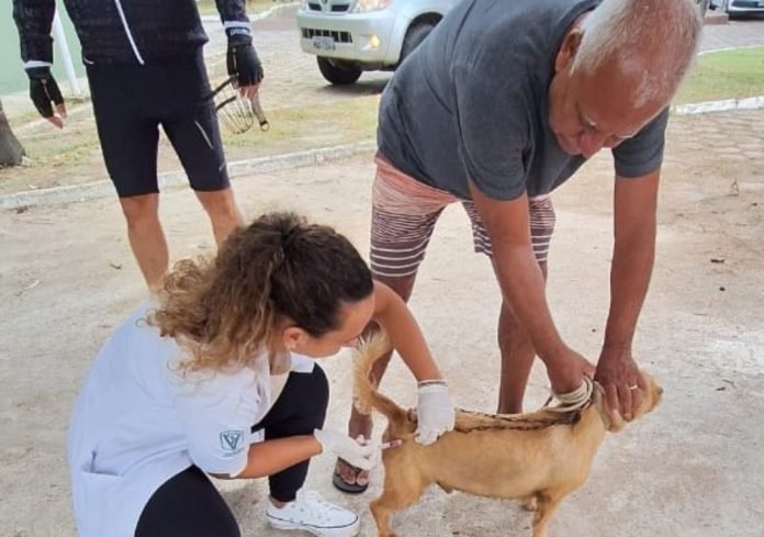 Notícia Calendário de vacinação contra a raiva é atualizado em Anchieta: veja novas datas - Prefeitura Municipal de Anchieta