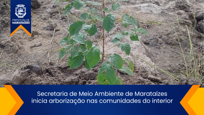 Secretaria de Meio Ambiente de Marataízes inicia arborização nas comunidades do interior