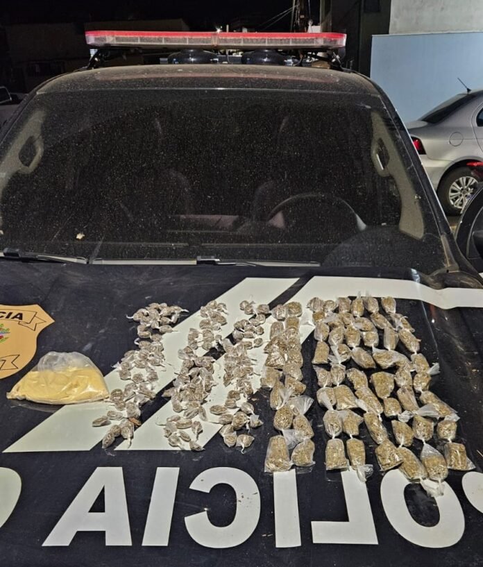Polícia Civil apreende 201 unidades de maconha durante operação em Vila Valério