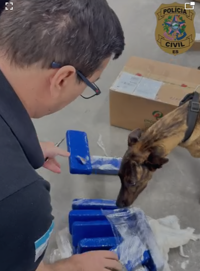 PCES e Correios apreendem 10 quilos de maconha enviados por encomenda em Cachoeiro de Itapemirim