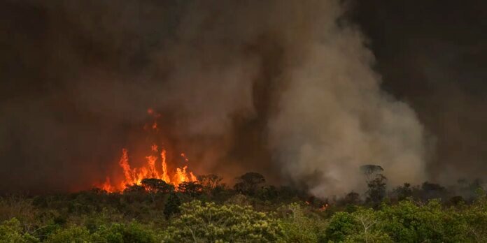 Queimadas fazem desmatamento crescer 92% na Amazônia em maio