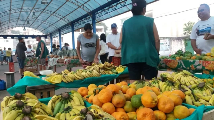 Notícia Anchieta celebra o Dia da Agricultura Familiar com programação especial e valorização do agricultor local - Prefeitura Municipal de Anchieta