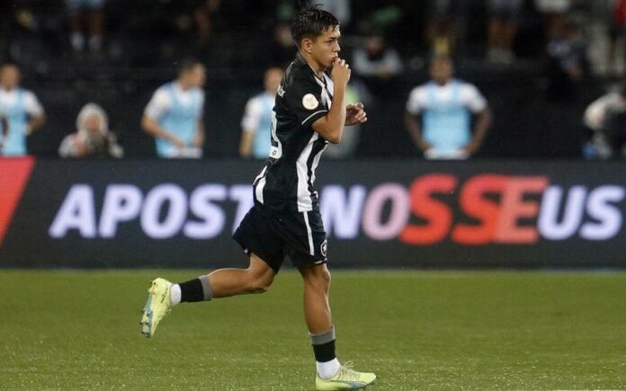 Imagem do avatar de Meu Botafogo