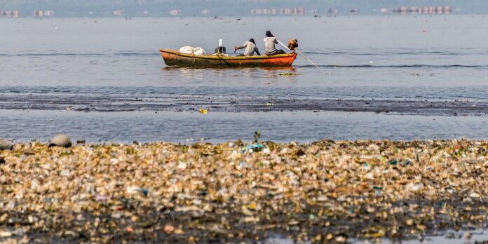 Pescadores tiram 46 toneladas de lixo em baias de Guanabara e Sepetiba
