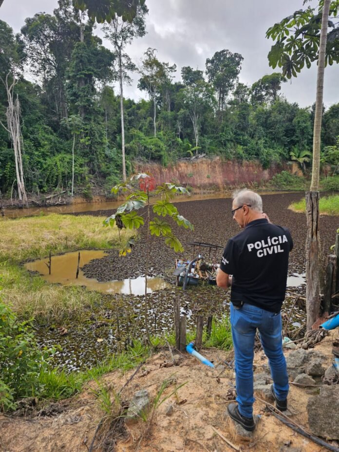 Ação conjunta flagra furto de energia em sítio com plantação de café em São Mateus