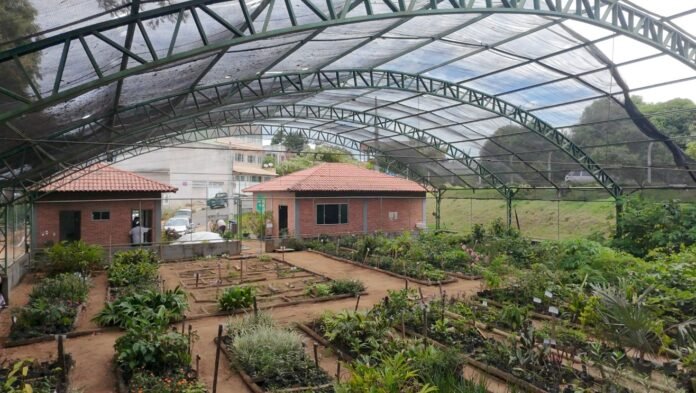 Viveiro Municipal de Anchieta faz doações diárias de mudas à Notícia Viveiro Municipal de Mudas realiza doações diárias à população - Prefeitura Municipal de Anchieta