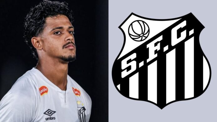 Imagem do avatar de Luis Gustavo Marine