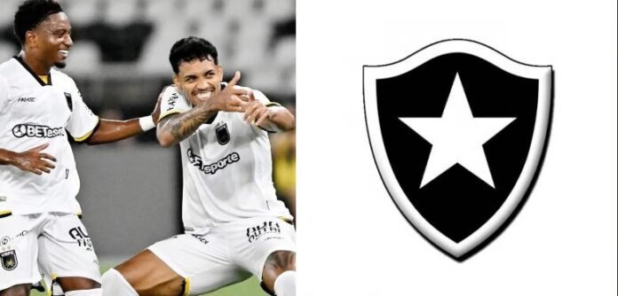 Imagem do avatar de Meu Botafogo