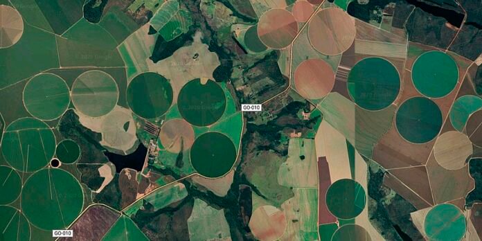 Suspensão da Moratória da Soja pelo Cade preocupa Meio Ambiente