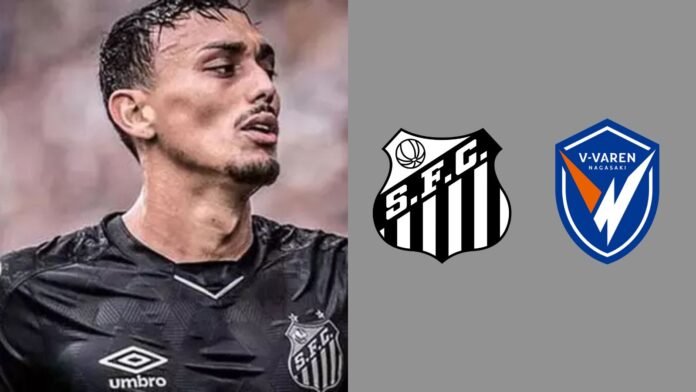 Imagem do avatar de Luis Gustavo Marine