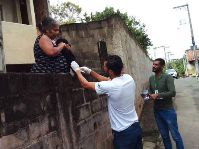 Notícia Anchieta segue vacinando cães e gatos contra a raiva, de casa em casa - Prefeitura Municipal de Anchieta