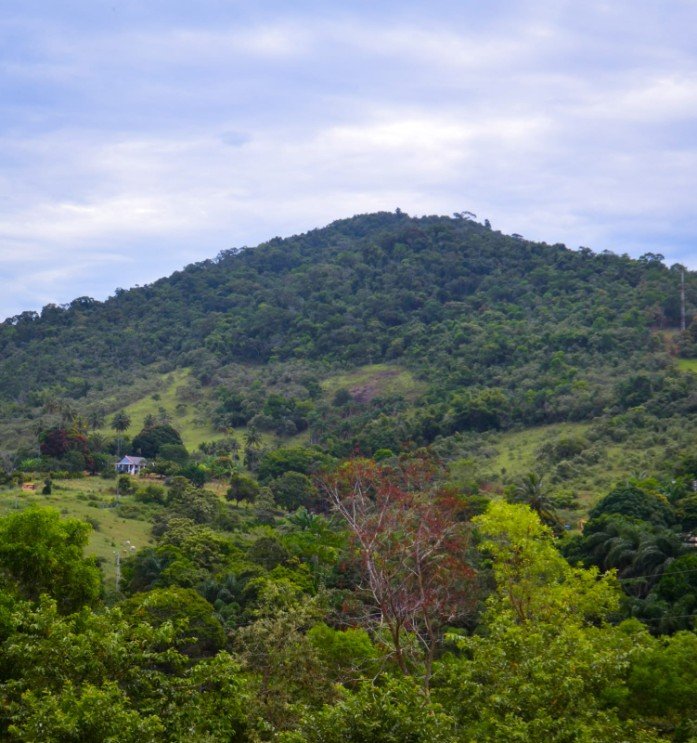 Notícia Segunda Caminhada Ecocultural ao Monte Urubu - Prefeitura Municipal de Anchieta