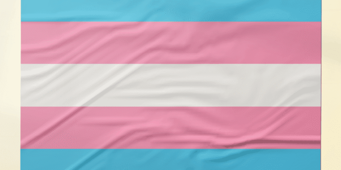 Pesquisa recomenda ações de prevenção ao HPV focadas em pessoas trans