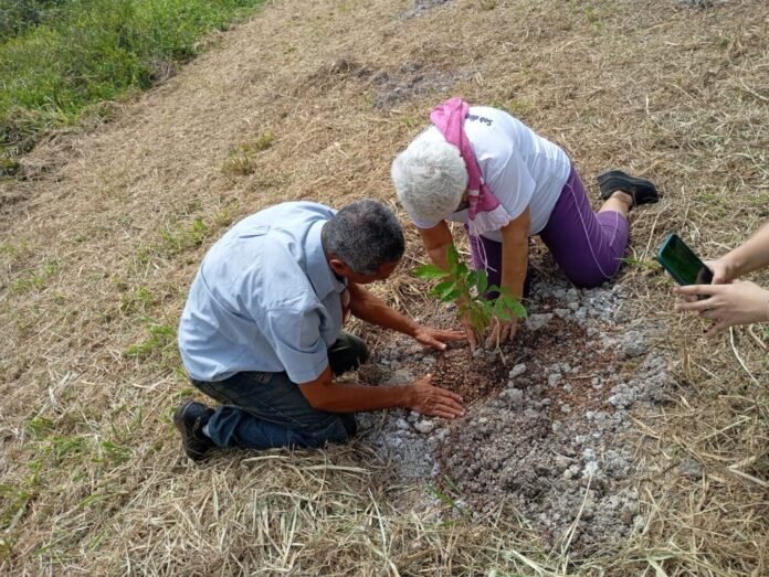 Idosos do Grupo Vida Ativa celebram o Dia da Árvore na Flona de Pacotuba - Prefeitura de Cachoeiro de Itapemirim