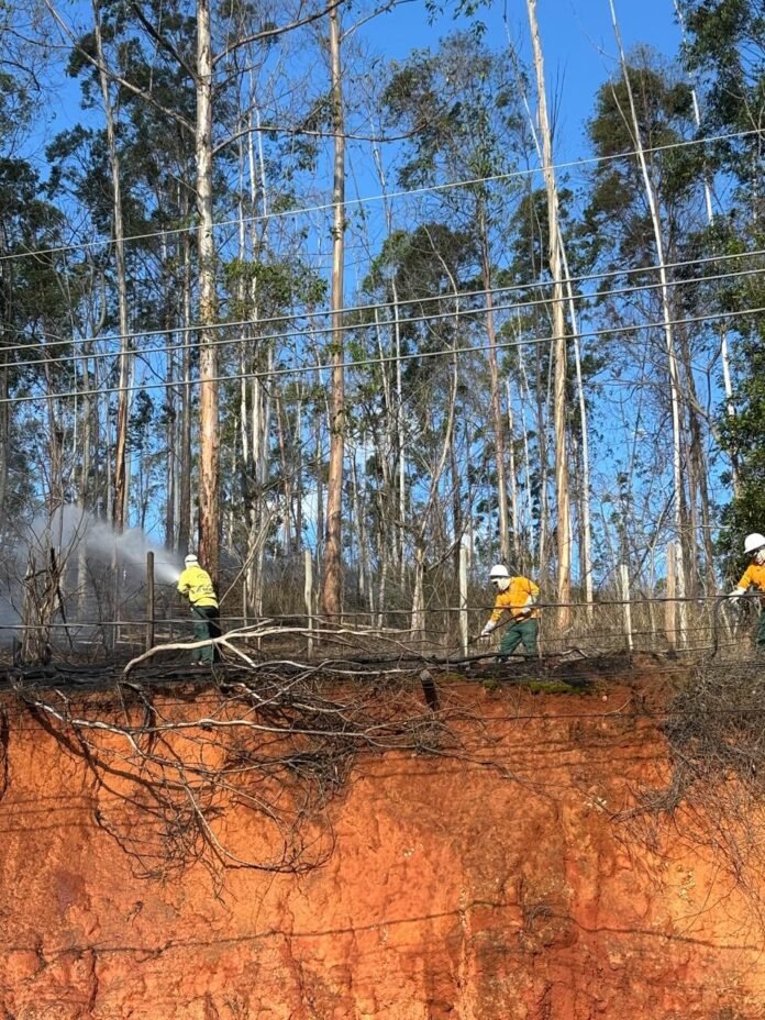 Incêndio é controlado por brigadistas do Governo do ES durante