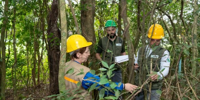 Itaipu impulsiona biodiversidade florestal em área de proteção ambiental Itaipu triplica diversidade florestal nos arredores do reservatório