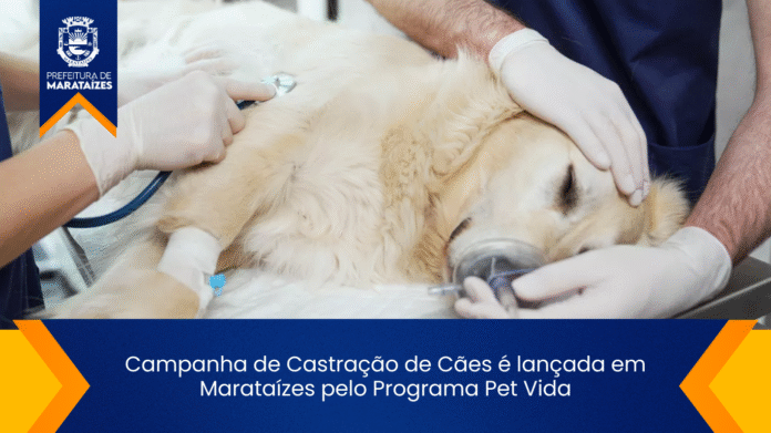 Campanha de Castração de Cães é lançada em Marataízes pelo Programa Pet Vida