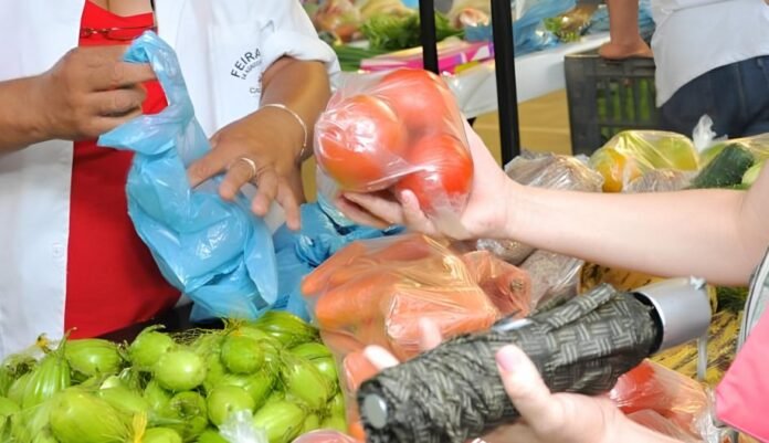 Feira Livre passa a atender moradores do bairro Alto Village - Prefeitura de Cachoeiro de Itapemirim