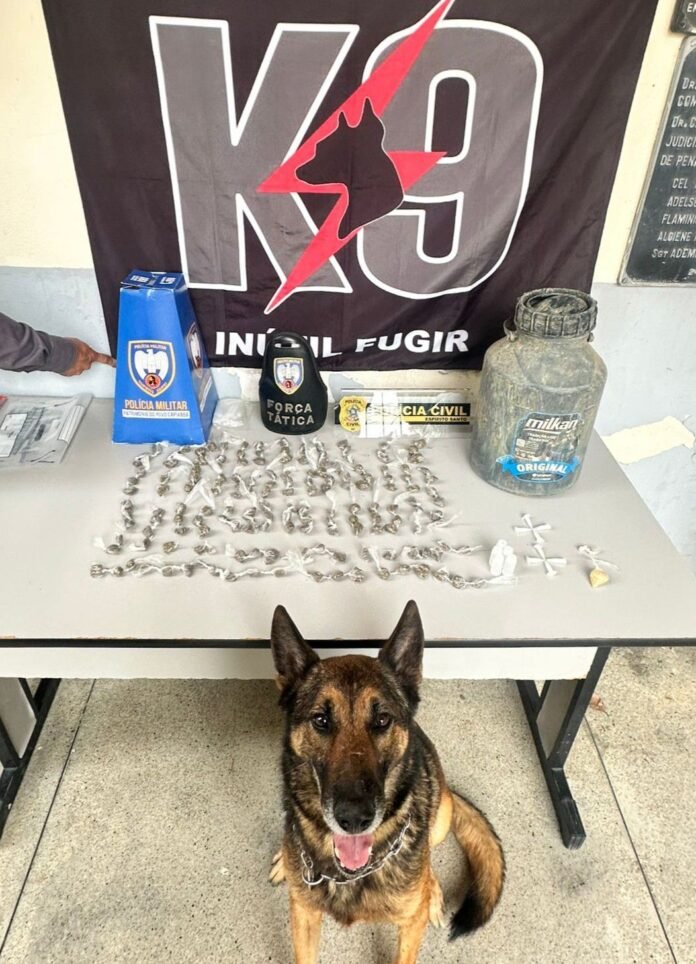 PCES e PMES apreendem adolescentes e localizam tonel com drogas em Boa Esperança