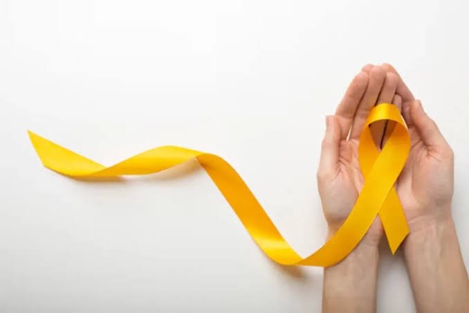 Setembro Amarelo em Cachoeiro: Ações de prevenção ao suicídio e Setembro Colorido: Cachoeiro mobiliza ações de conscientização e inclusão social - Prefeitura de Cachoeiro de Itapemirim