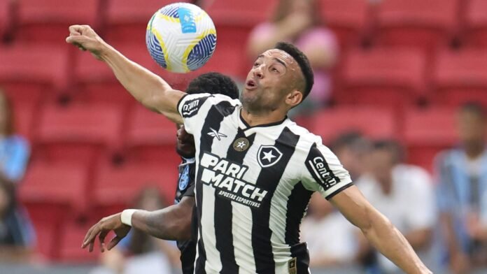 Imagem do avatar de Meu Botafogo